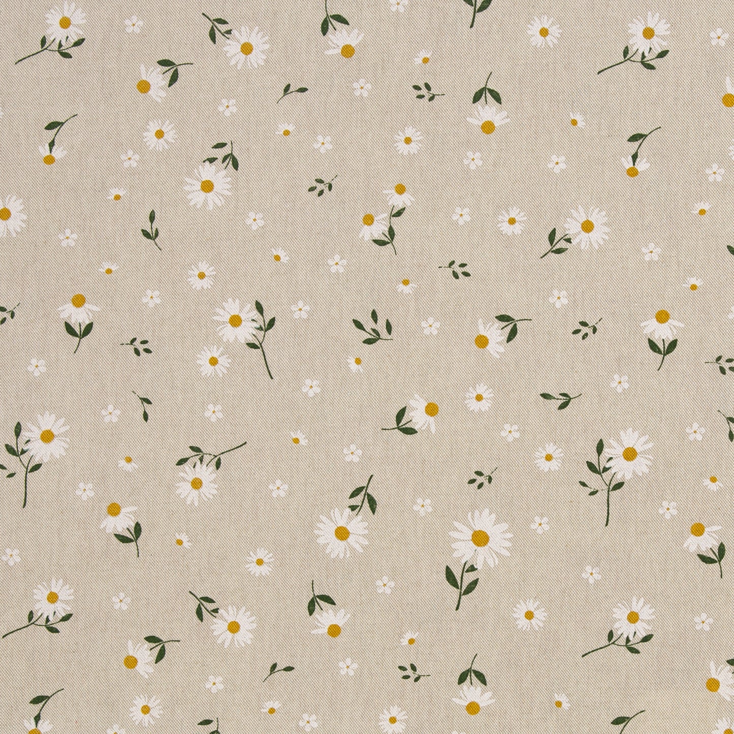 Tissu canvas marguerites 200 g/m²