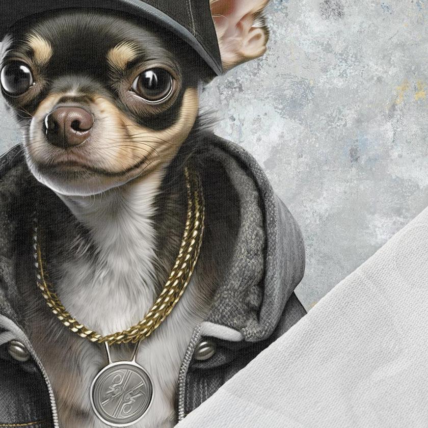 Attēls ar Cilpiņtrikotāžas panelis - krutais čivauva 250 g/m² | Dizains - 01 – pieejams Šarlotes audumi