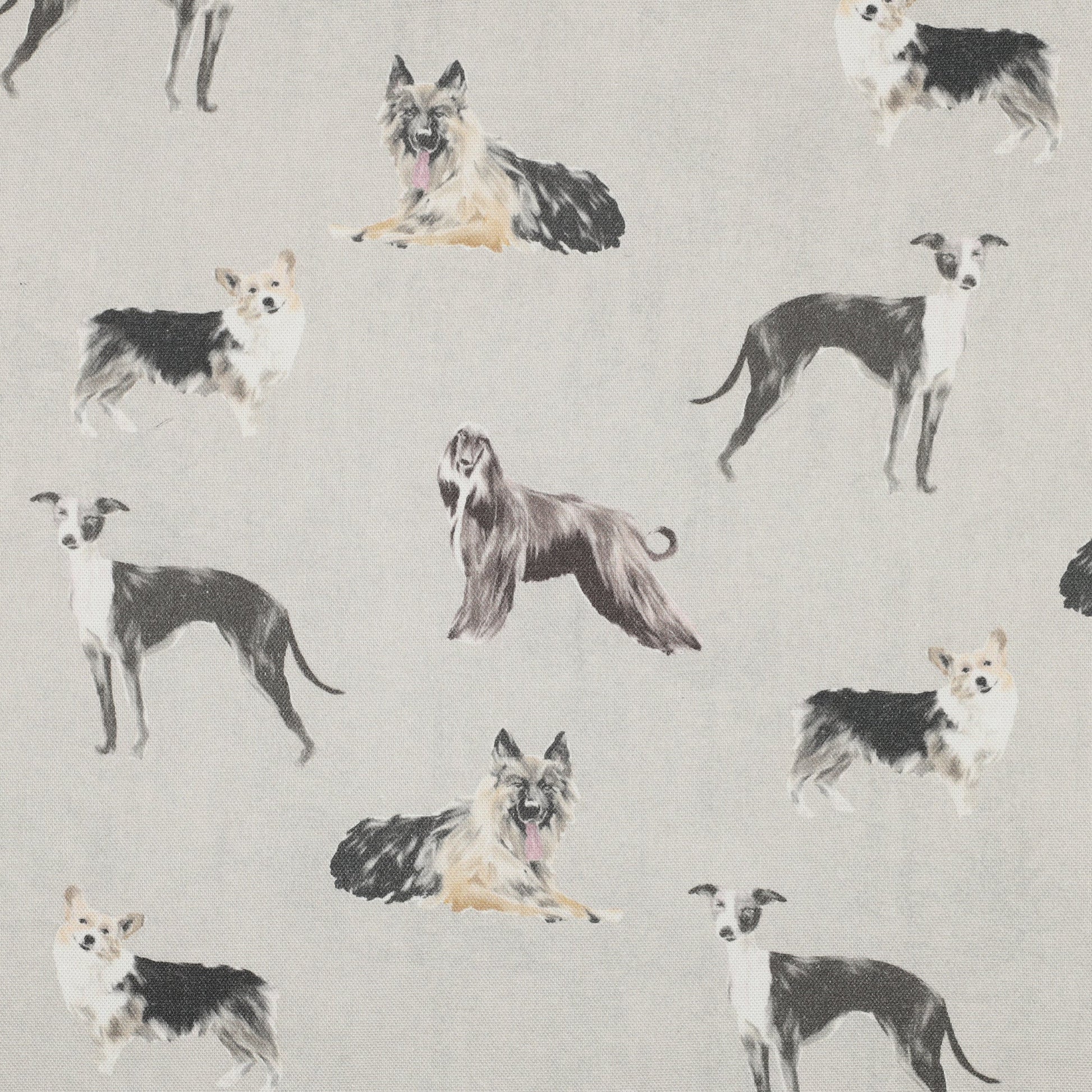 Kanvas audums - suņi 225 g/m²