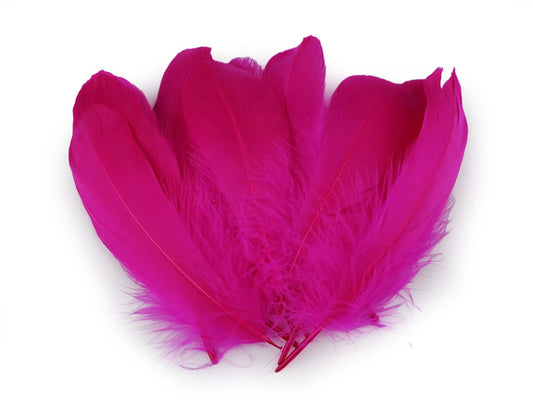 Spalvas zosu (14 - 18 cm) - fuksijas