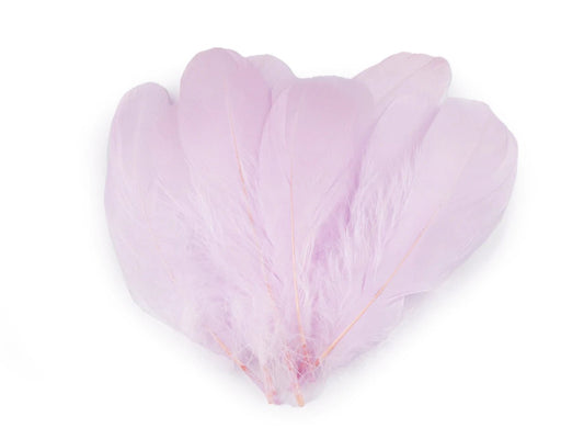 Spalvas zosu (14 - 18 cm) - gaiši lillā