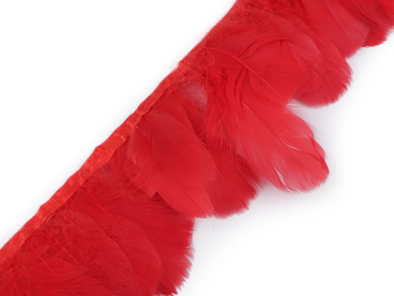 Attēls ar Zoss spalvu apdares lente - sarkana (50 cm iepakojums) – pieejams Šarlotes audumi