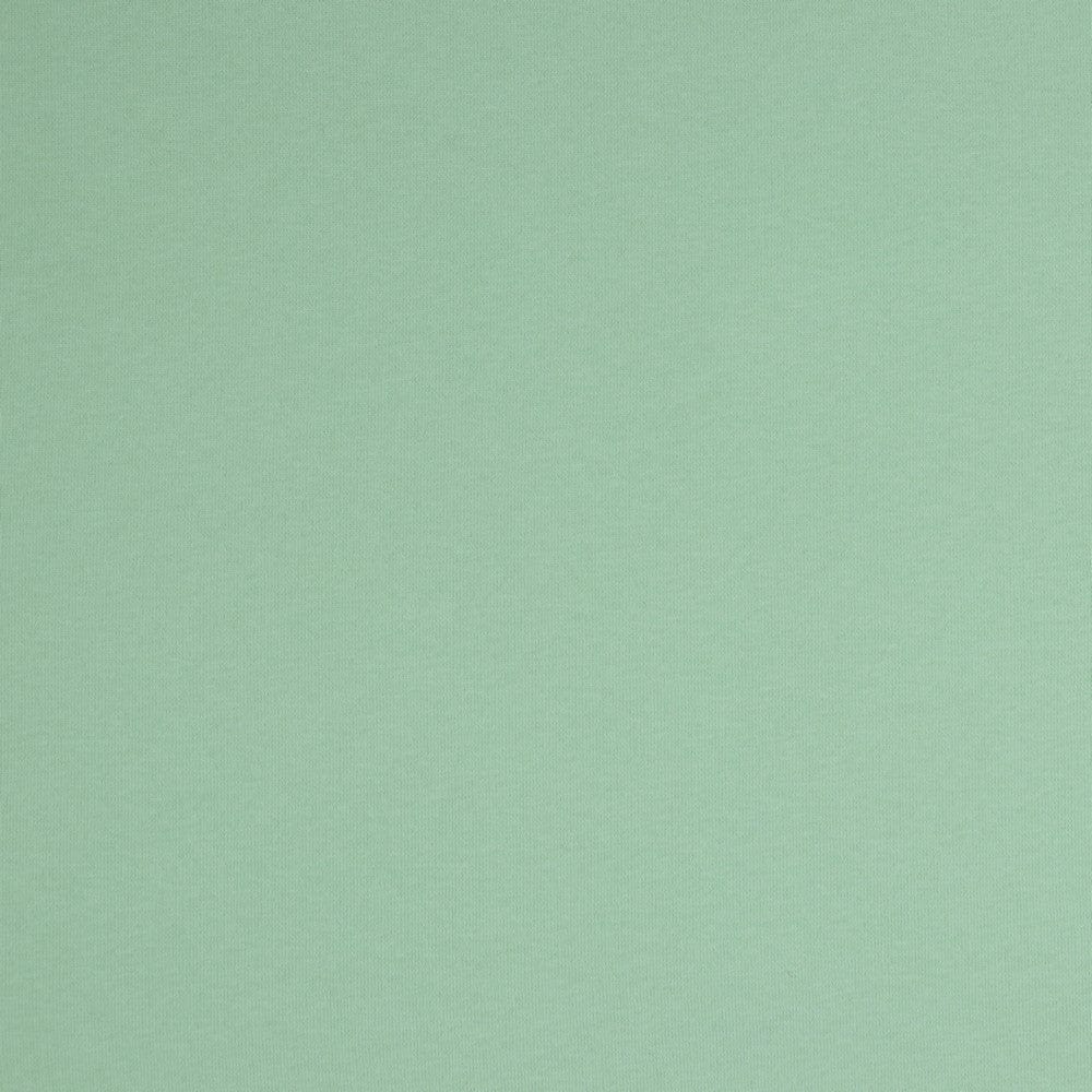 Kokvilnas siltināta trikotāža-gaiši zaļa 285 g/m²