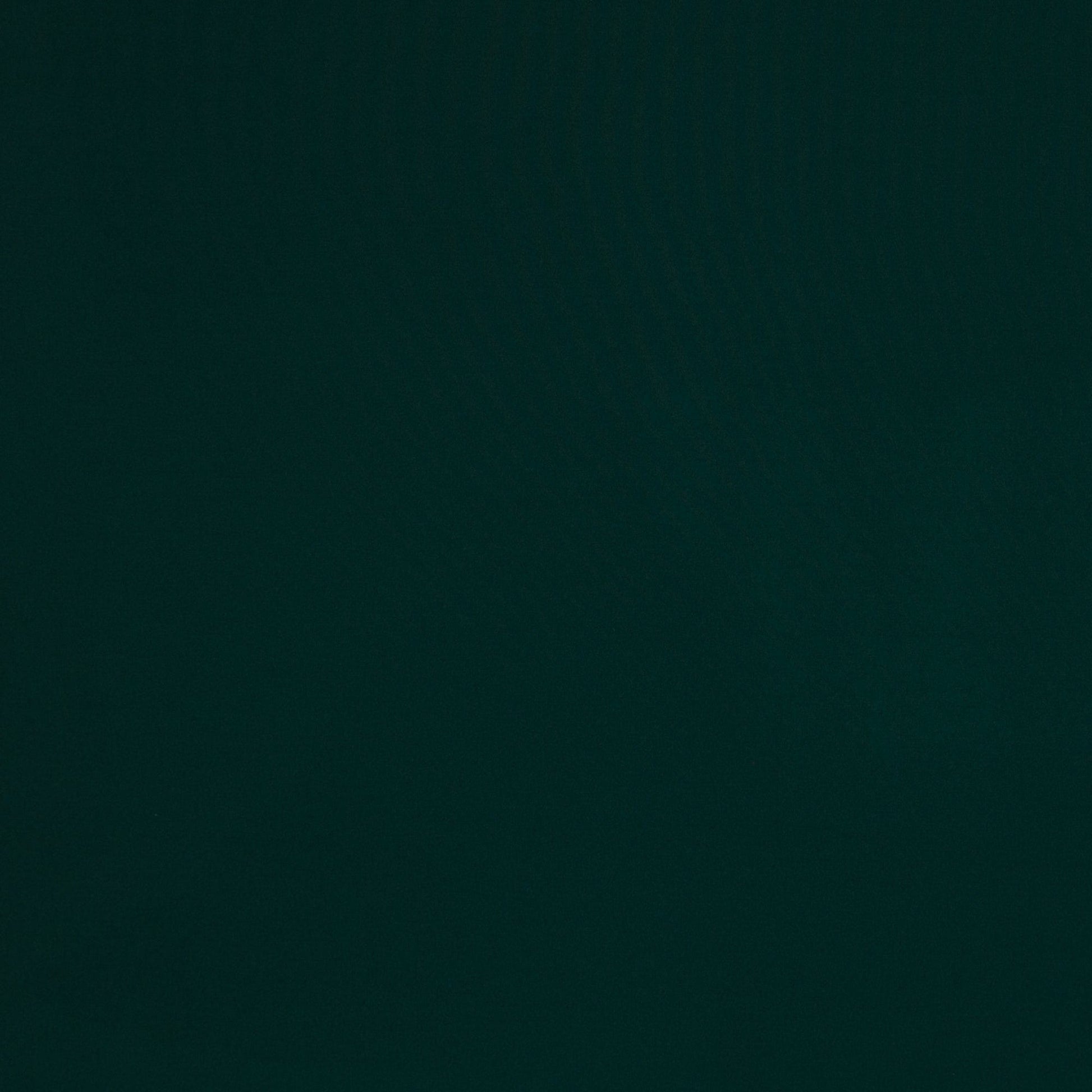 Softshell audums-tumši zaļš 300 g/m²