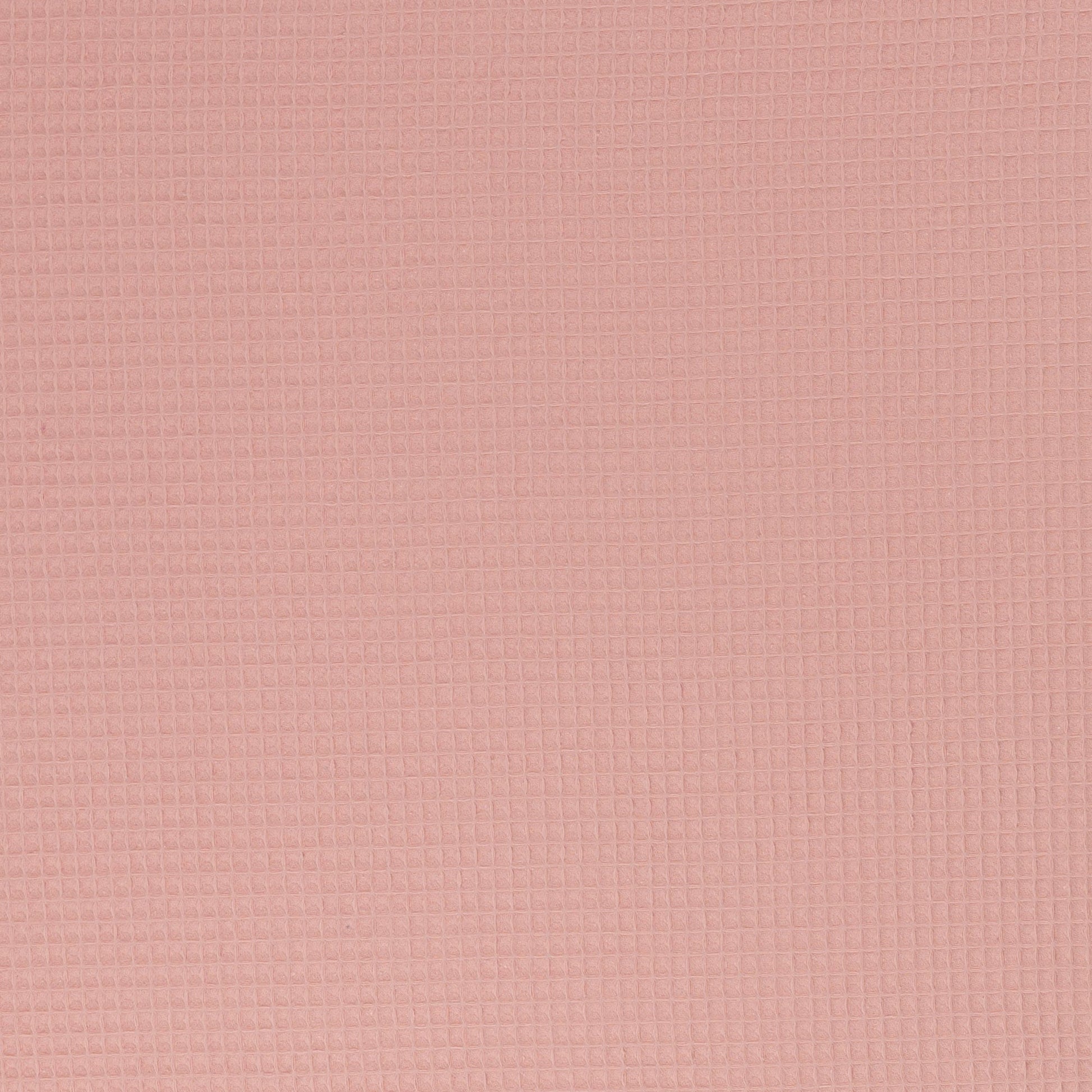 Vafeļaudums-lašrozā 230 g/m²
