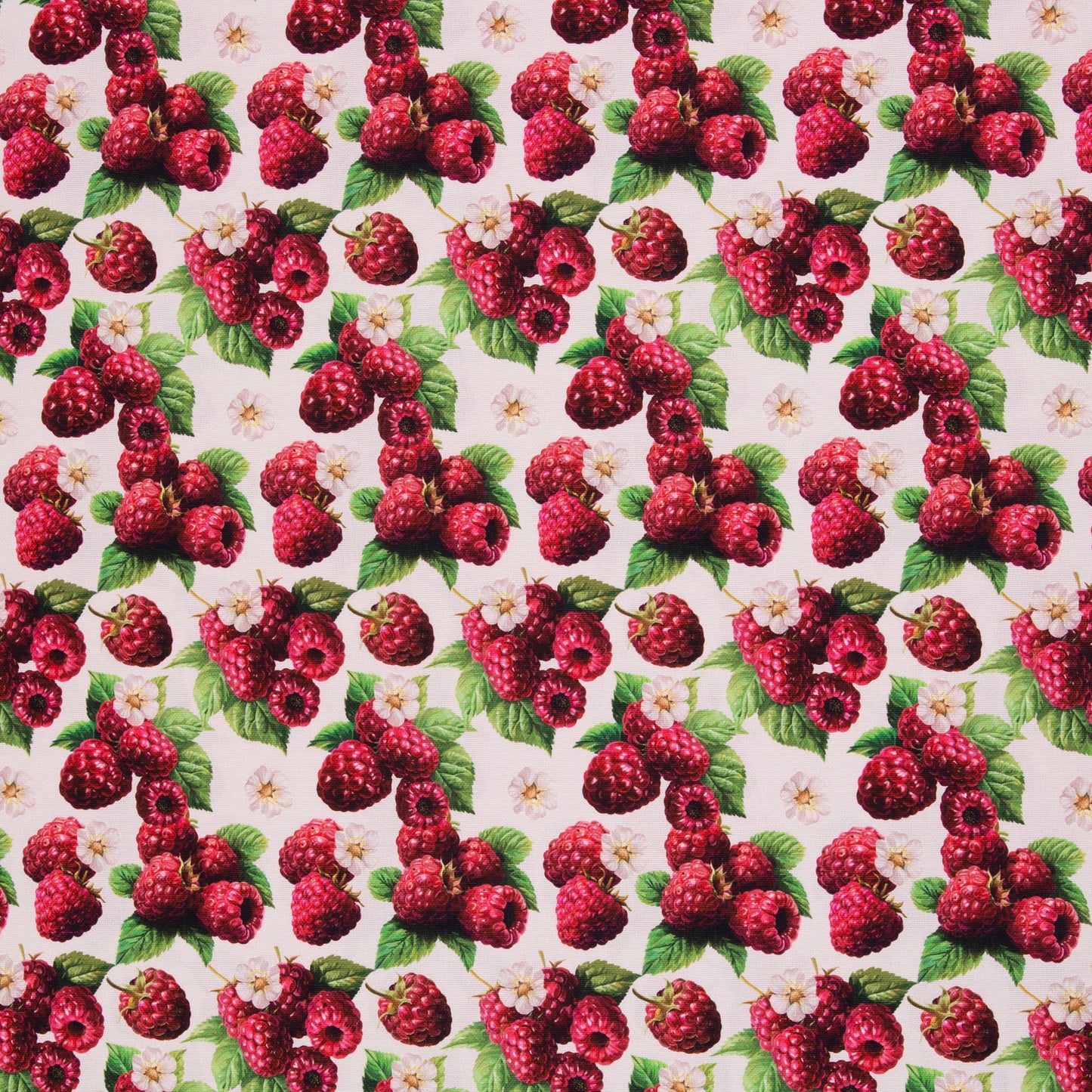 Kanvas audums-avenes 200 g/m²