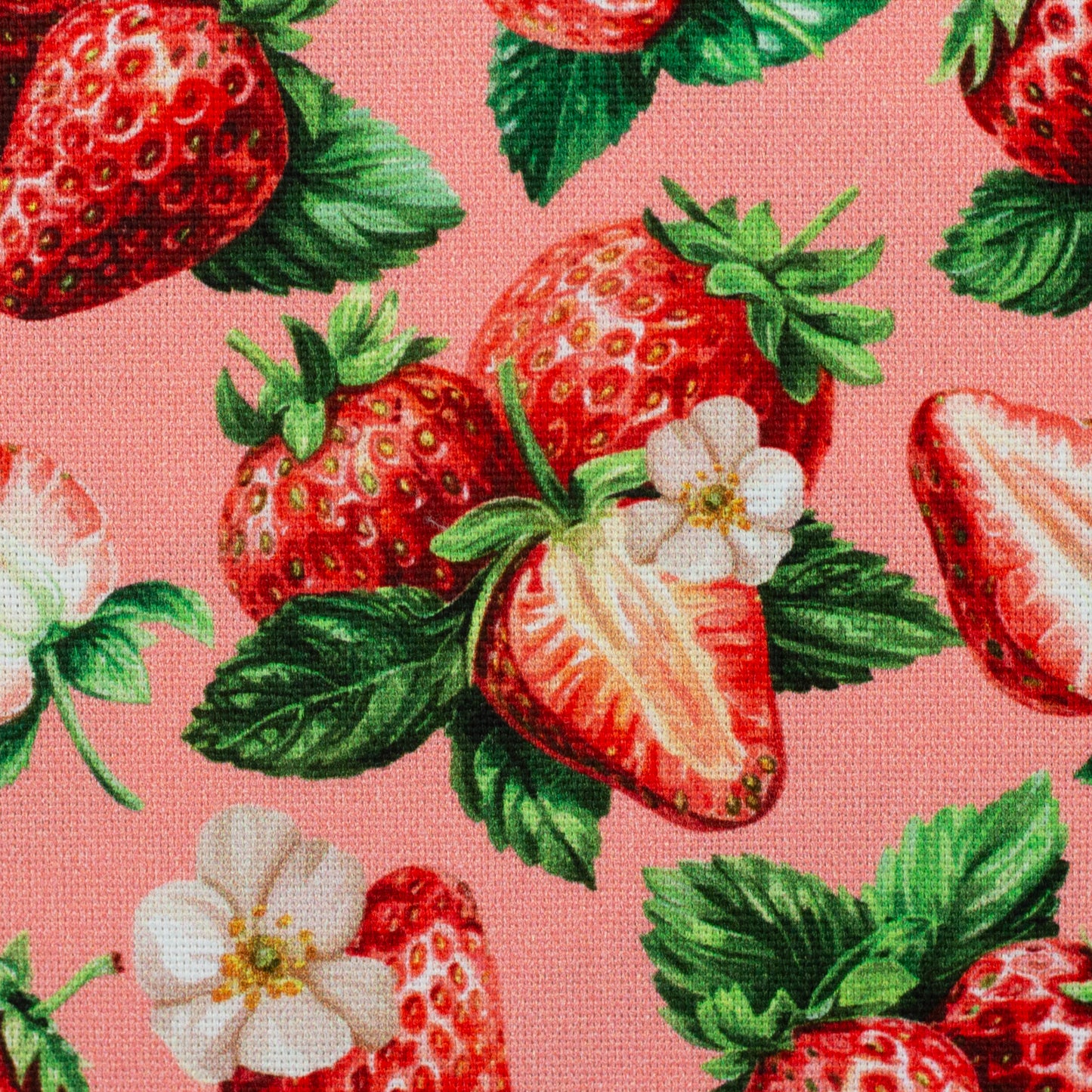 Kanvas audums-zemenes 200 g/m²