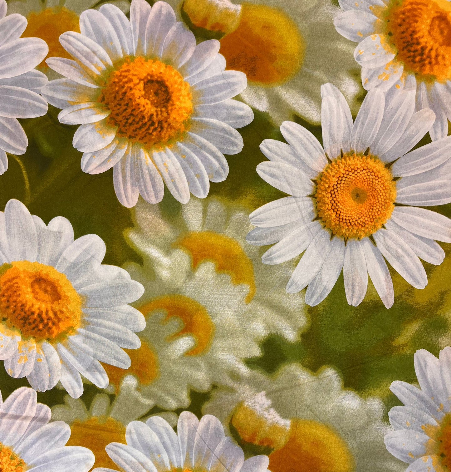Attēls ar 100% Kokvilnas audums - lielās margrietiņas 220cm 130 g/m² – pieejams Šarlotes audumi