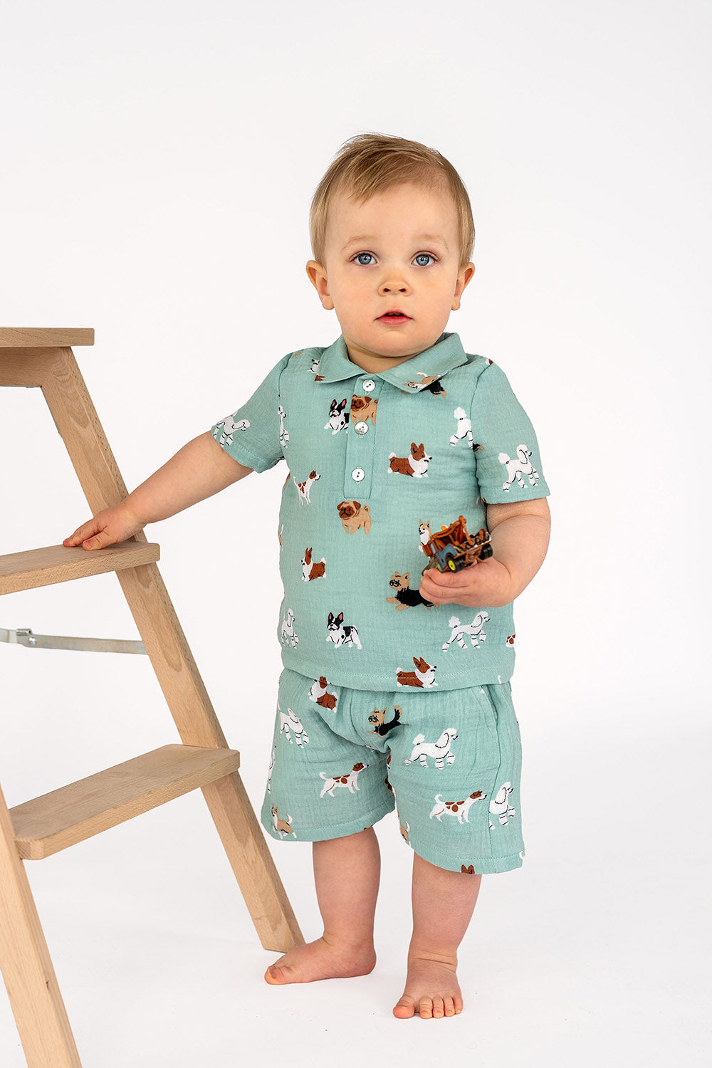 Muslin Dogs