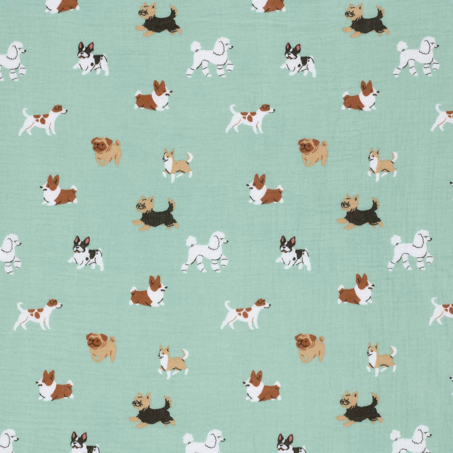 Muslin Dogs