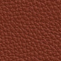 brendis / M (20 x 30 cm)