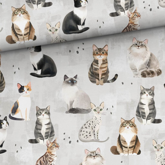 Medvilninis kilpinis trikotažas – kačių žaidimai 250 g/m²