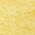23 · dandelion dream print