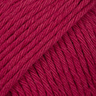 37 · bordeaux solid color