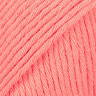 01 · apricot solid color