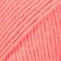 01 · abrikosinis vienspalvis