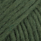 97 · dark ivy uni colour