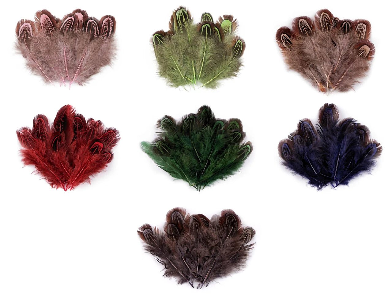 Attēls ar Fazāna spalvas 5–7 cm – dekoratīvās dabīgās spalvas|dažadu toņu – pieejams Šarlotes audumi