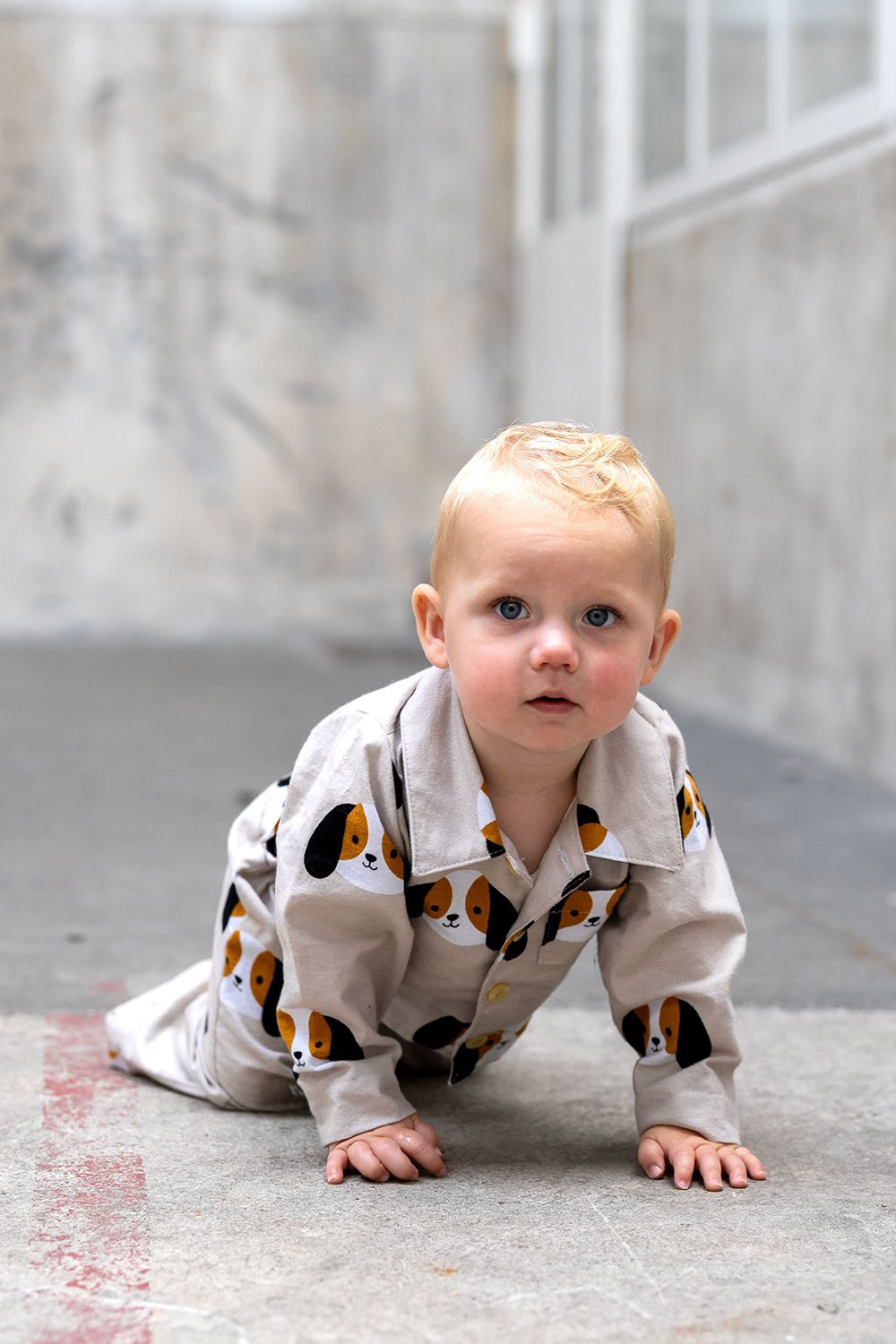 Attēls ar Flanelis - suņi 165 g/m² – pieejams Šarlotes audumi