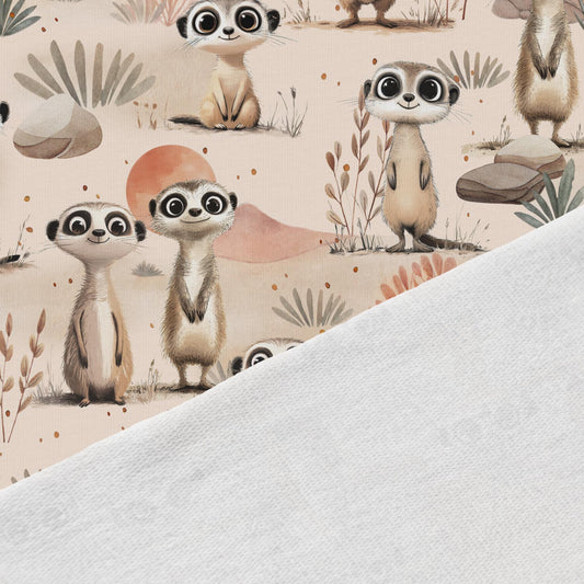 Attēls ar Kokvilnas cilpiņtrikotāža - tuksneša palaidņi 250 g/m² – pieejams Šarlotes audumi