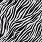 Attēls ar Kokvilnas cilpiņtrikotāža - zebra 230 g/m² – pieejams Šarlotes audumi