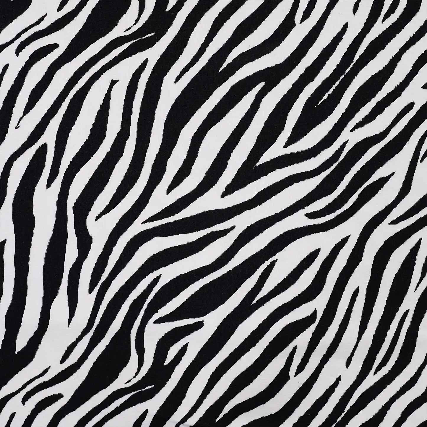 Attēls ar Kokvilnas cilpiņtrikotāža - zebra 230 g/m² – pieejams Šarlotes audumi