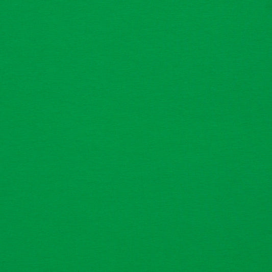 Image of cotton jersey, grass green, 210 g/m² – available at Šarlotes audumi