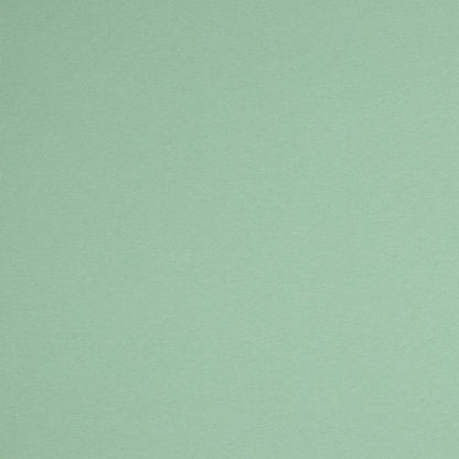 gefütterter Baumwolljersey – hellgrün 285 g/m²
