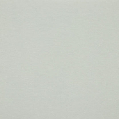 Jersey fin en coton gris clair 215 g/m²
