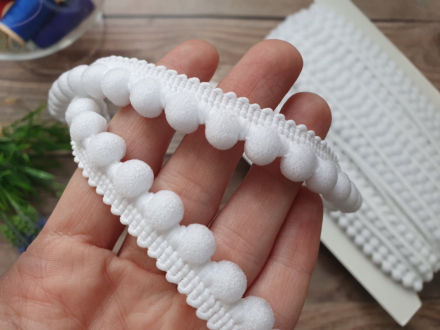 Pom Pom lentas